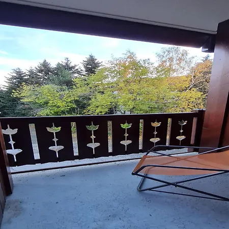 Apartment, Les Deux Alpes